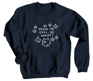 A navy blue sweater featuring a white line drawing of a cat with the text 'yeah I'm evil, so what?'